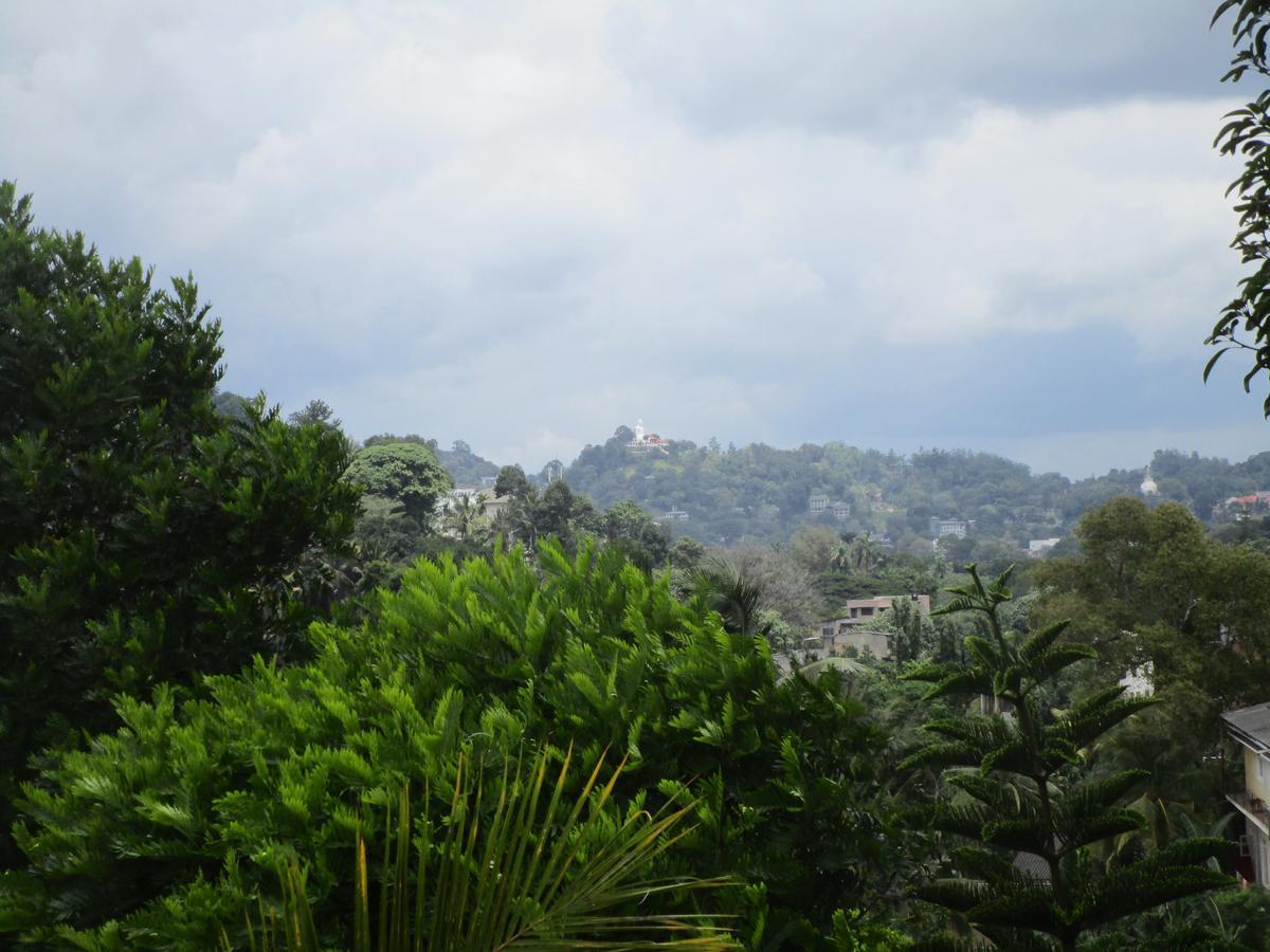 Cloud Inn Kandy Homestay Esterno foto
