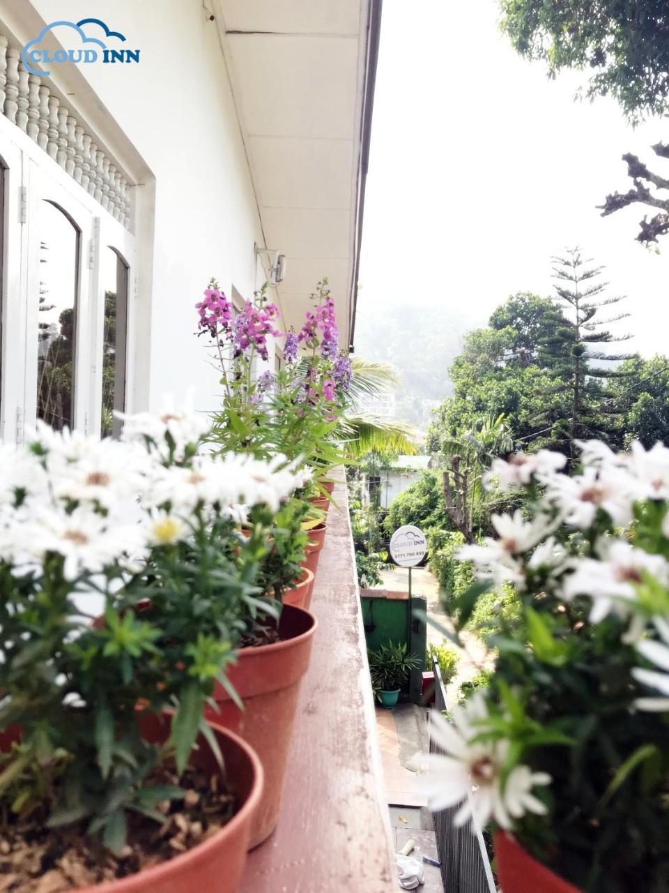 Cloud Inn Kandy Homestay Esterno foto